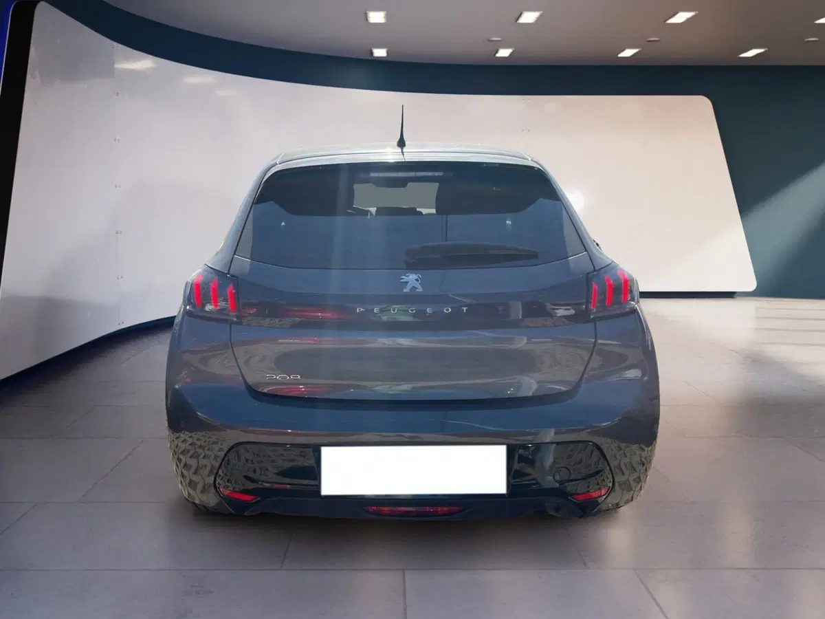 Peugeot 208 usata a Torino (5)