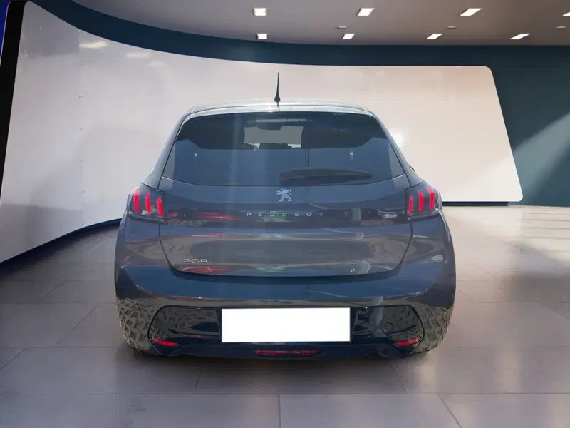 Peugeot 208 usata a Torino (5)