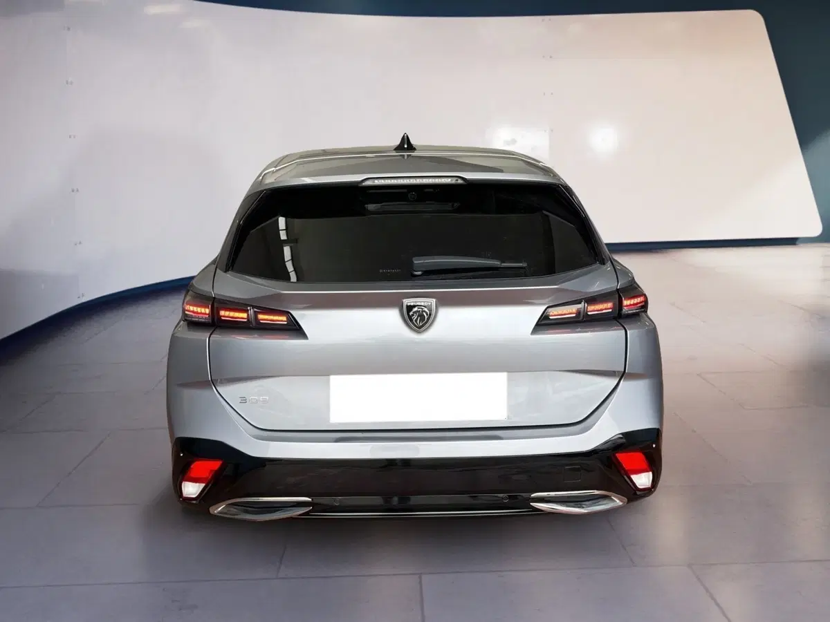 Peugeot 308 SW usata a Torino (5)