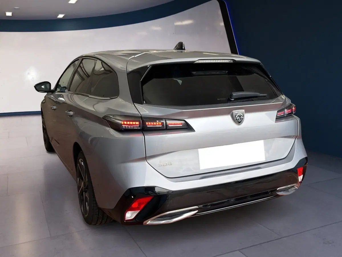 Peugeot 308 SW usata a Torino (6)