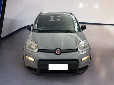 Fiat Panda 1.0 FireFly S&amp;S Hybrid City Cross del 2021 usata a Torino