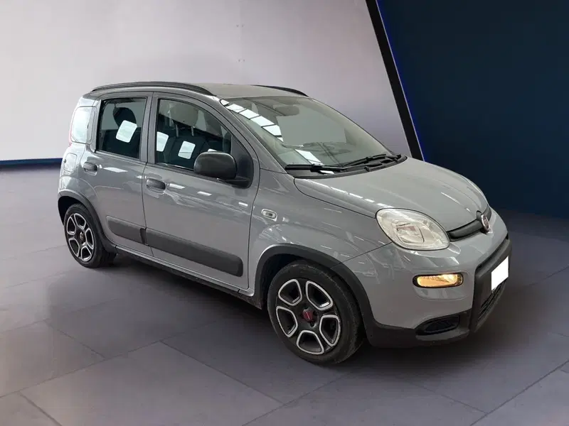 Fiat Panda usata a Torino (2)