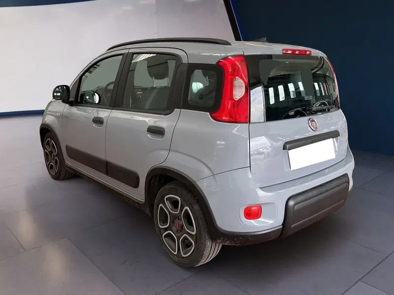 Fiat Panda usata a Torino (4)