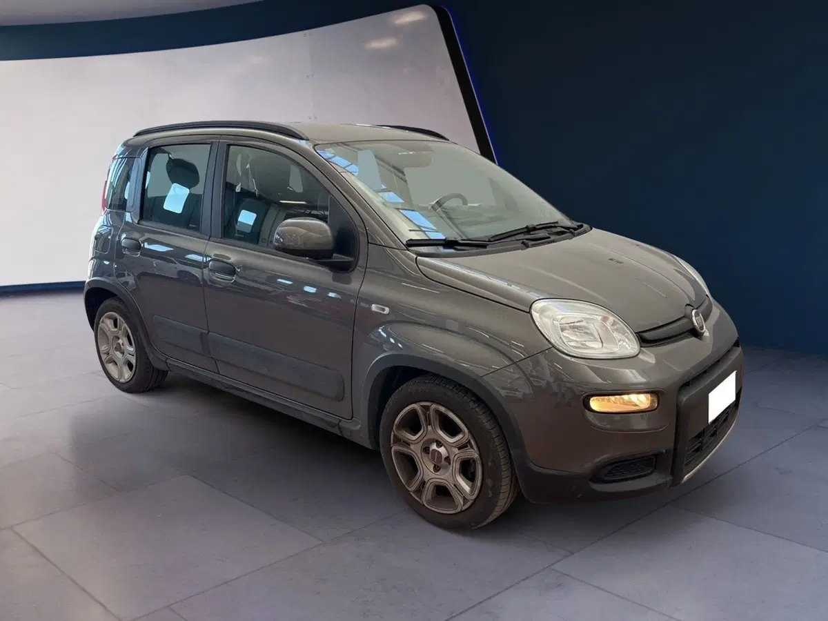 Fiat Panda usata a Torino (2)