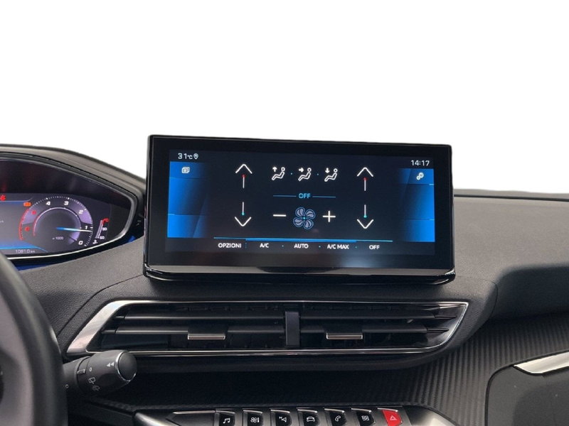 Peugeot 3008 usata a Torino (13)