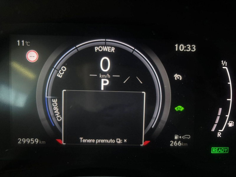 Lexus RX usata a Venezia (13)