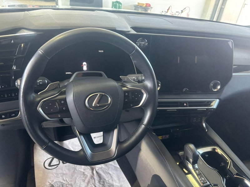 Lexus RX usata a Venezia (6)