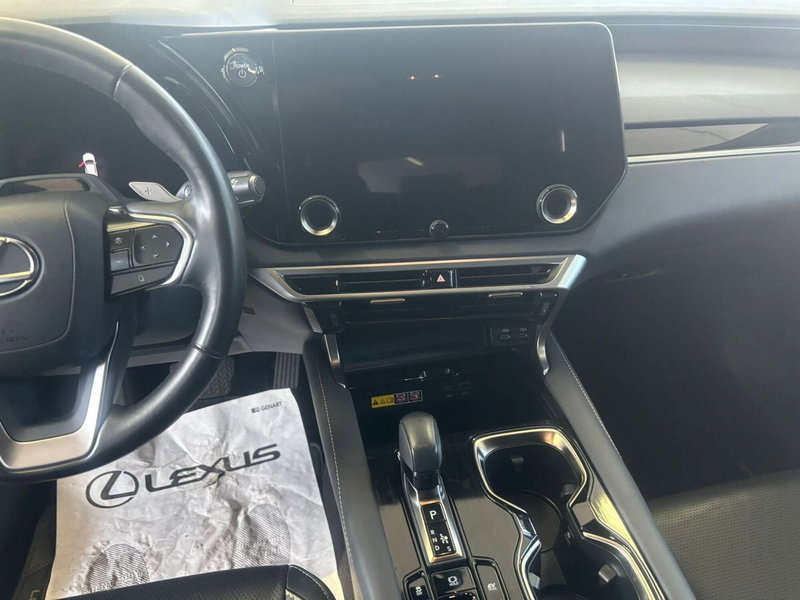 Lexus RX usata a Venezia (7)