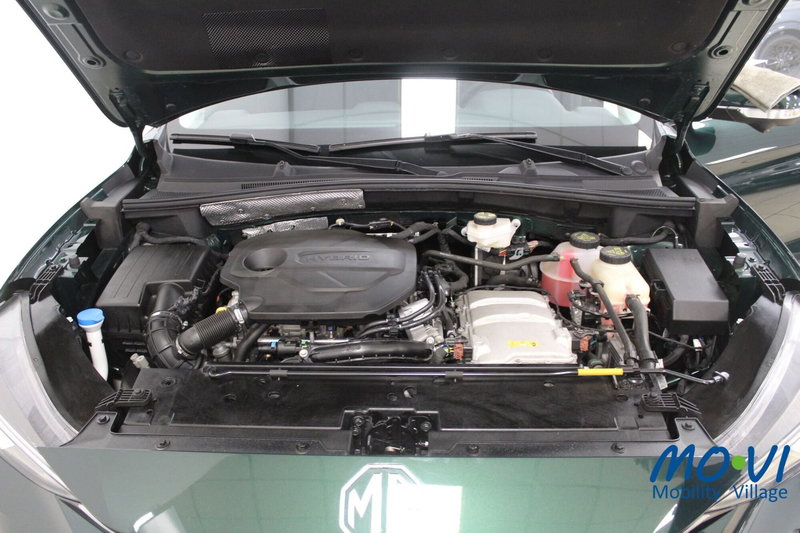 Mg ZS usata a Torino (16)