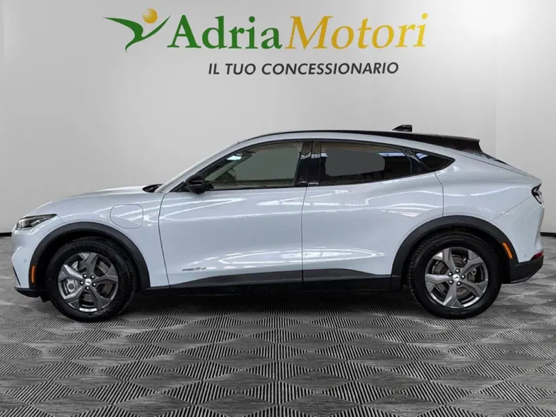 Ford Mustang Mach-E usata a Pordenone (2)