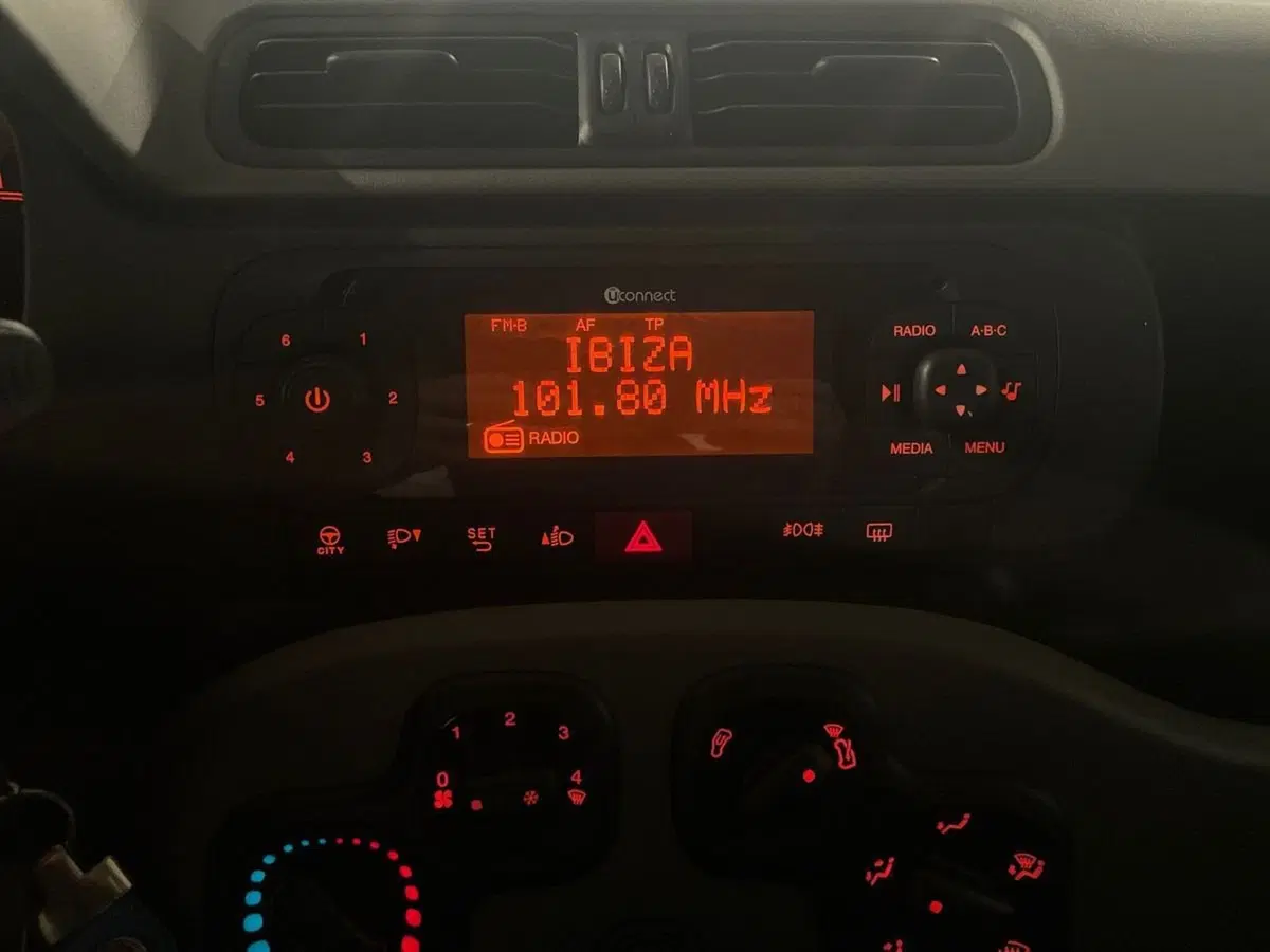 Fiat Panda usata a Salerno (18)