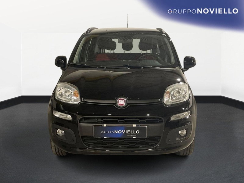 Fiat Panda usata a Salerno (2)