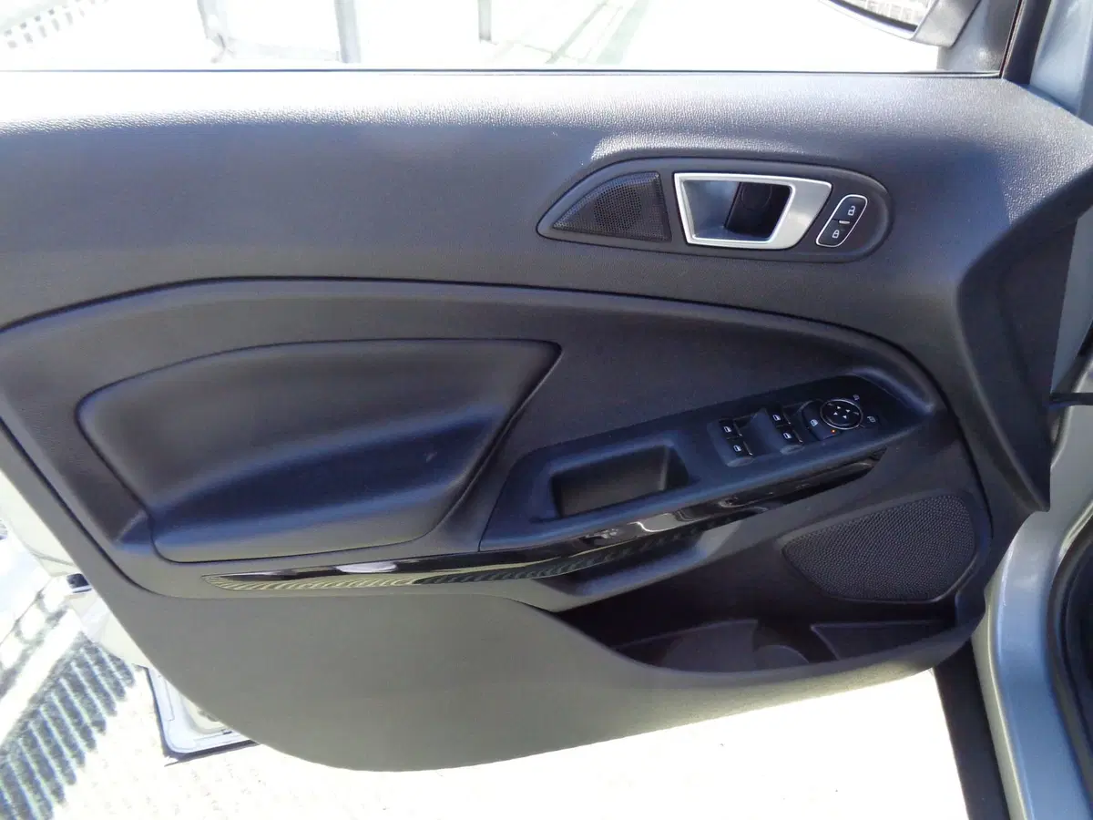 Ford EcoSport usata a Treviso (8)