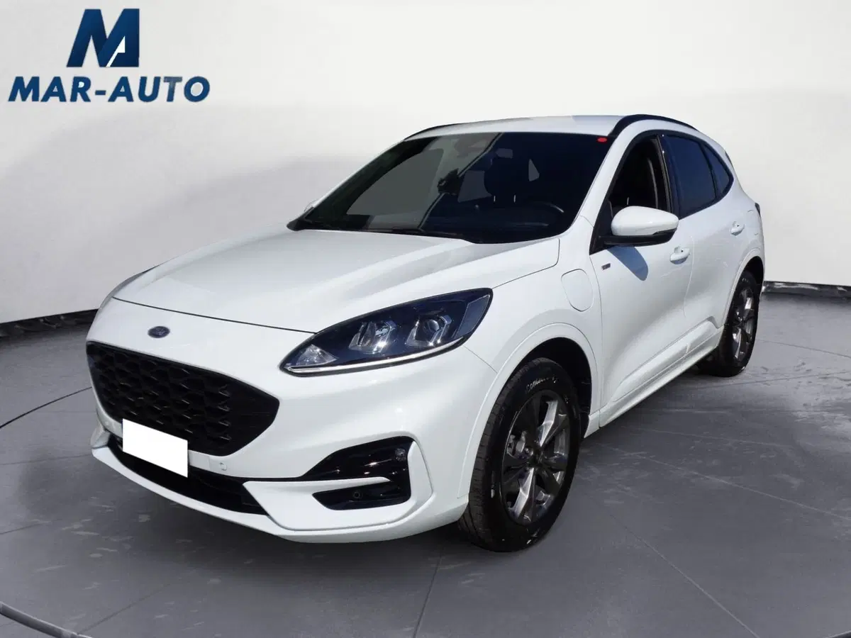 Ford Kuga usata a Treviso