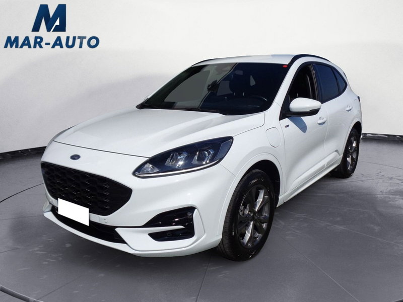 Ford Kuga usata a Treviso
