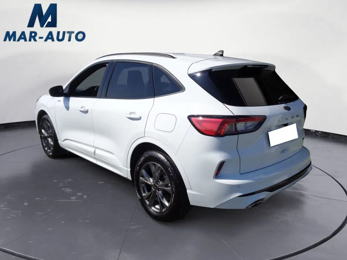 Ford Kuga usata a Treviso (2)