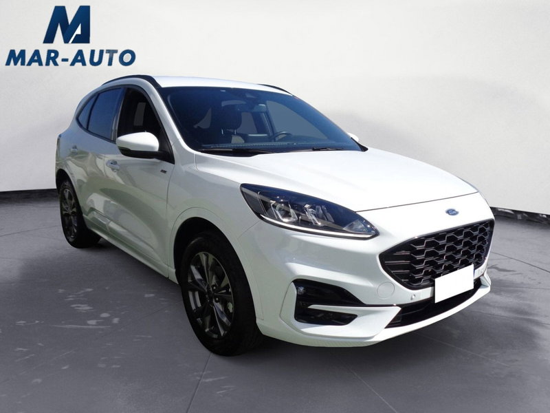 Ford Kuga usata a Treviso (4)