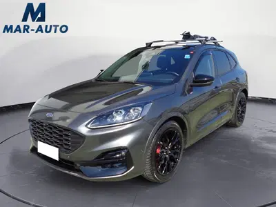 Ford Kuga 2.0 EcoBlue 120 CV aut. 2WD ST-Line X del 2023 usata a Castelfranco Veneto