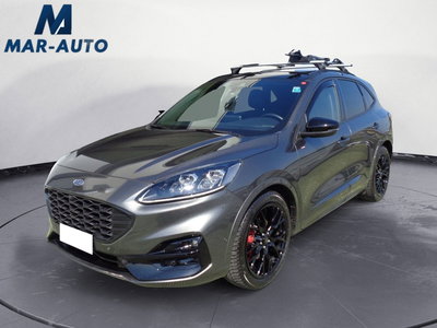 Ford Kuga 2.0 EcoBlue 120 CV aut. 2WD ST-Line X del 2023 usata a Castelfranco Veneto