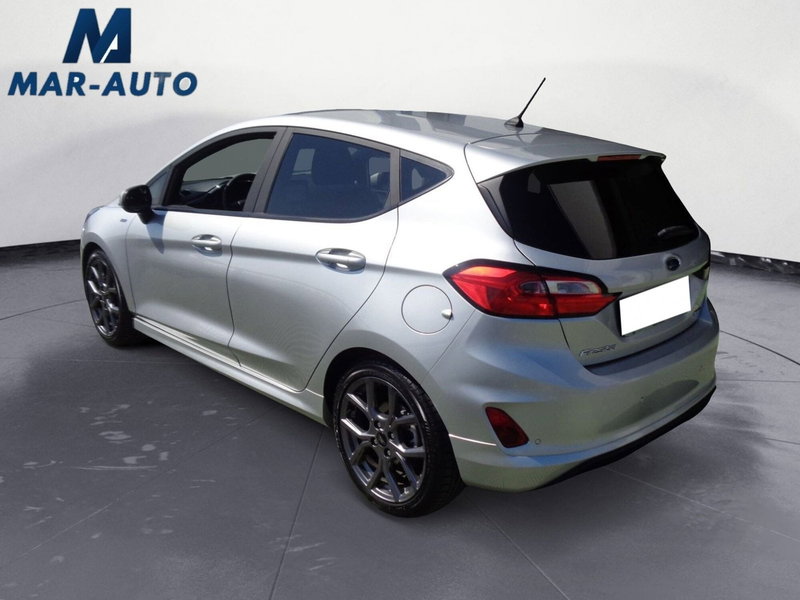 Ford Fiesta usata a Treviso (2)