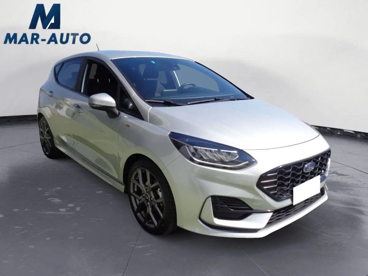 Ford Fiesta usata a Treviso (4)
