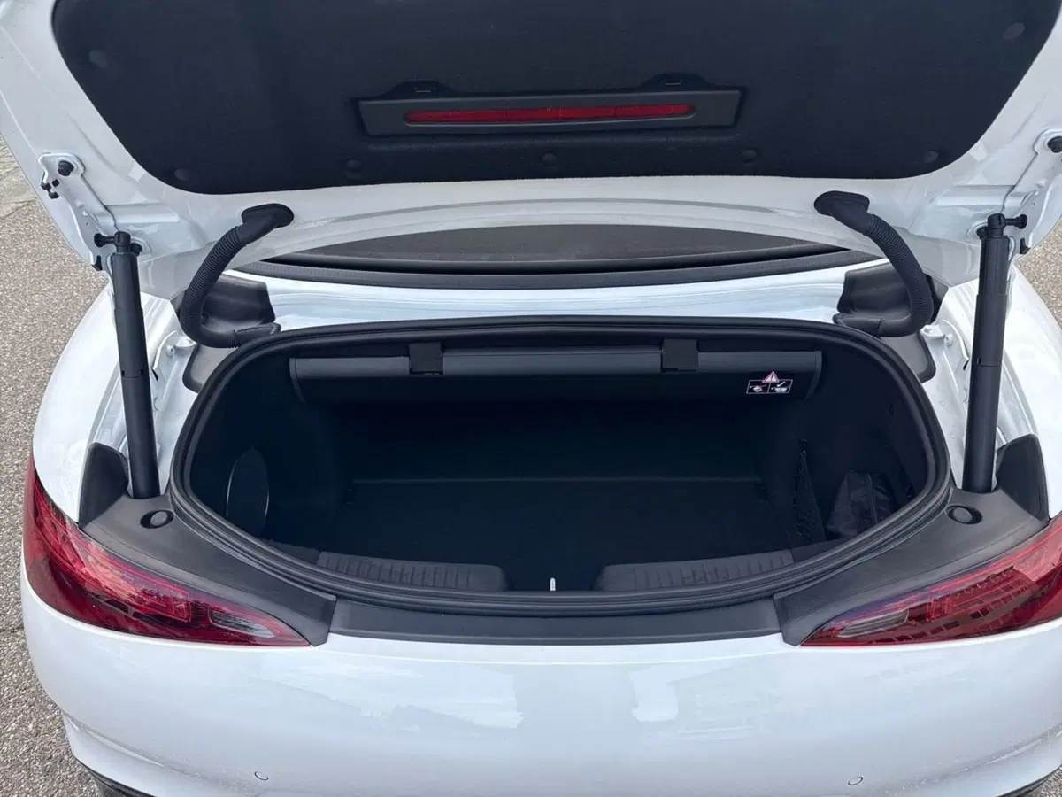 Mercedes-Benz SL usata a Firenze (8)