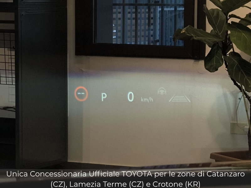 Toyota Toyota C-HR usata a Catanzaro (12)