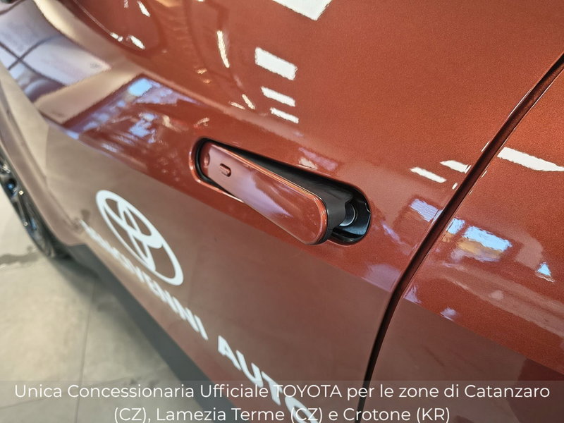 Toyota Toyota C-HR usata a Catanzaro (15)