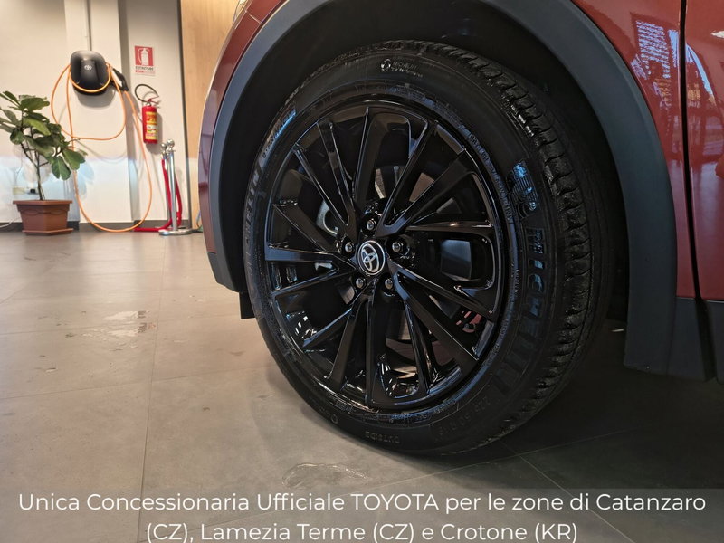 Toyota Toyota C-HR usata a Catanzaro (16)