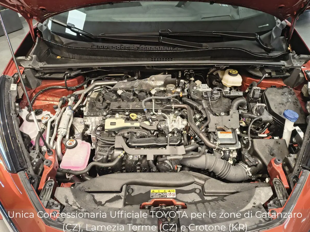 Toyota Toyota C-HR usata a Catanzaro (17)