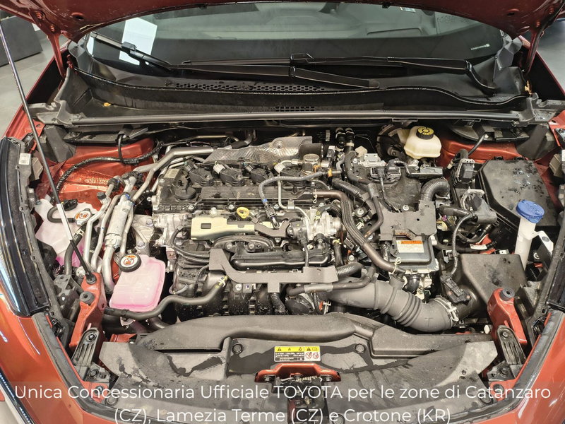 Toyota Toyota C-HR usata a Catanzaro (17)