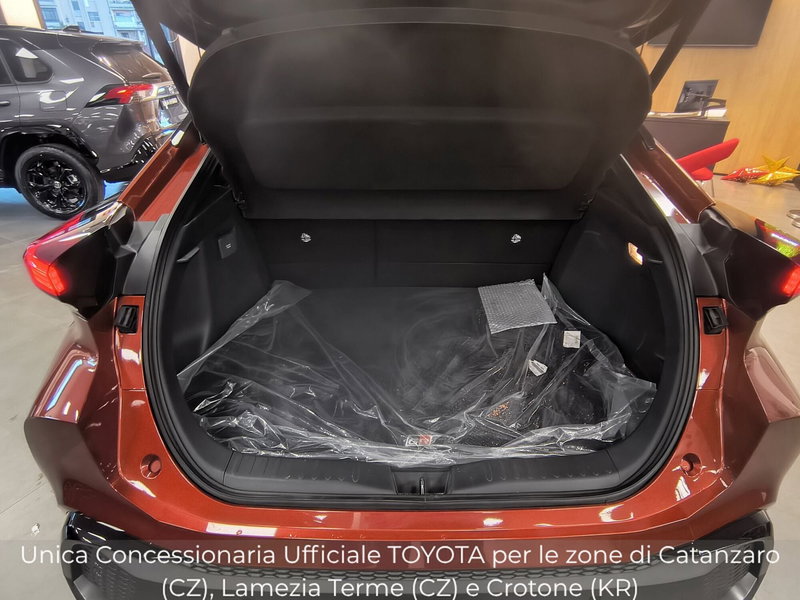 Toyota Toyota C-HR usata a Catanzaro (18)