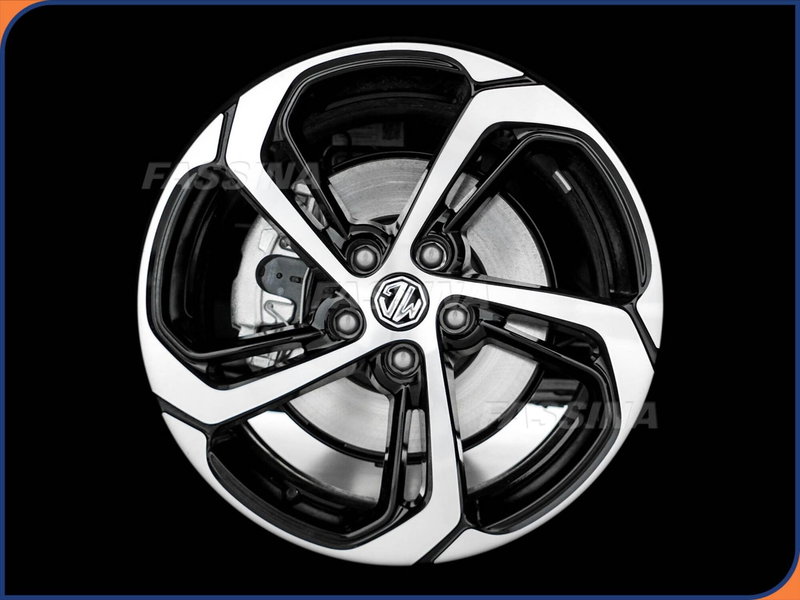 Mg HS usata a Milano (7)