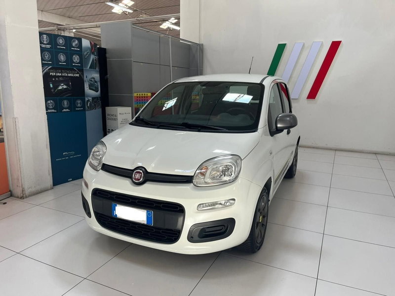 Fiat Panda usata a Lucca
