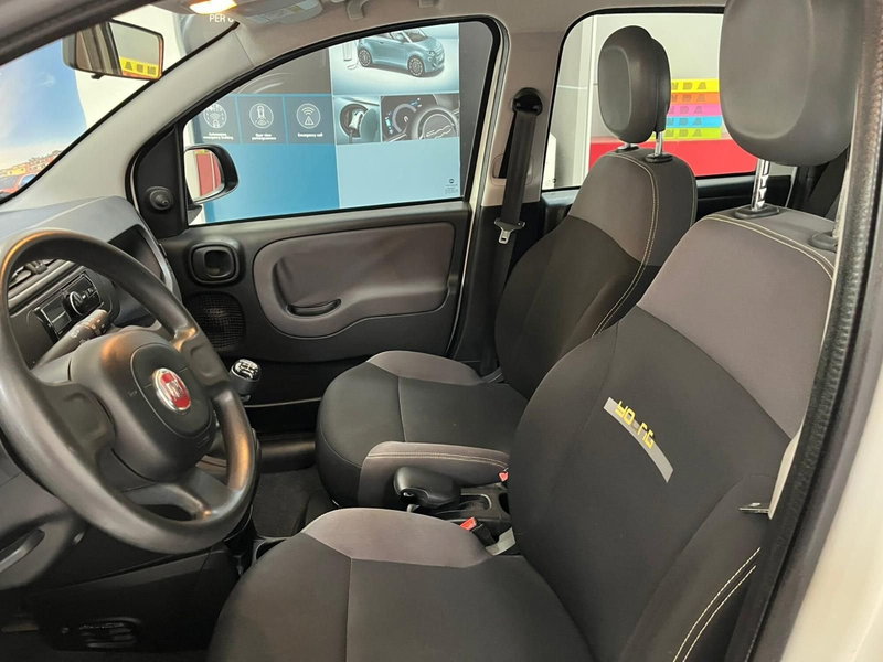 Fiat Panda usata a Lucca (10)