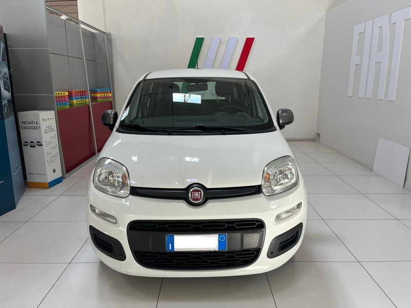 Fiat Panda usata a Lucca (2)
