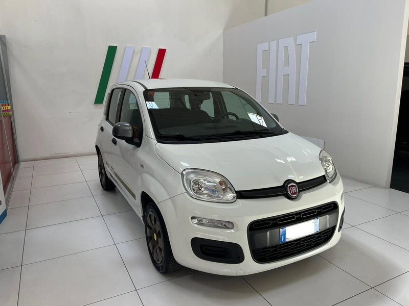 Fiat Panda usata a Lucca (3)
