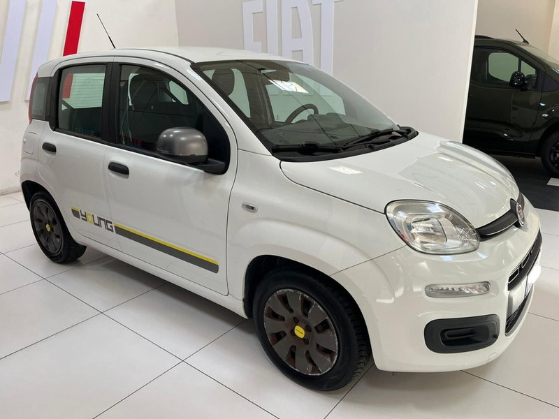 Fiat Panda usata a Lucca (4)