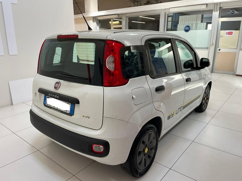 Fiat Panda usata a Lucca (5)
