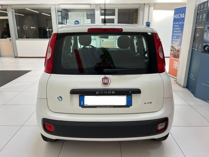 Fiat Panda usata a Lucca (6)