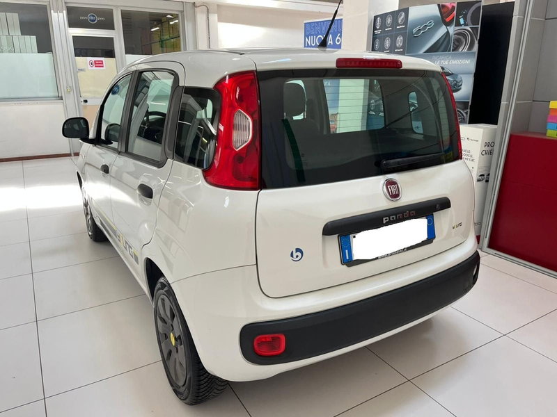 Fiat Panda usata a Lucca (7)