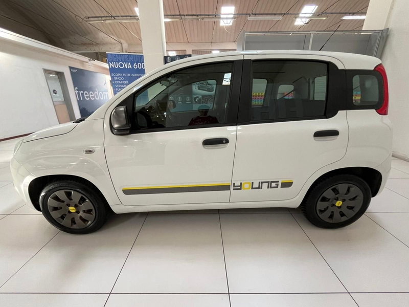 Fiat Panda usata a Lucca (8)