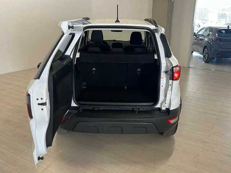 Ford EcoSport usata a Ravenna (6)