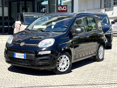 Fiat Panda 1.2 EasyPower Easy del 2019 usata a Chieti