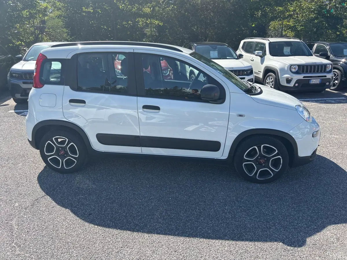 Fiat Panda usata a Latina (6)