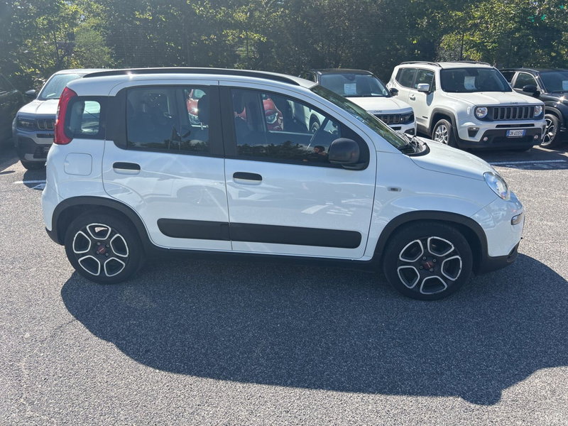 Fiat Panda usata a Latina (6)