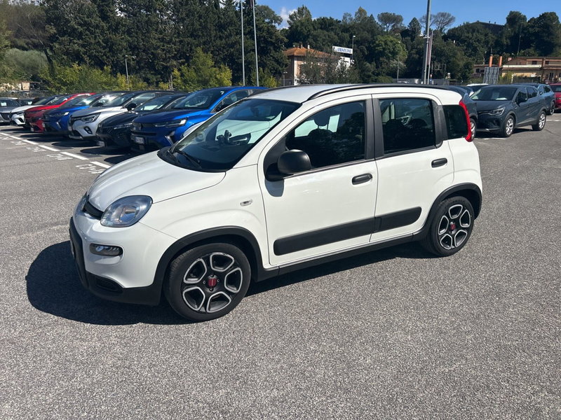 Fiat Panda usata a Latina (8)
