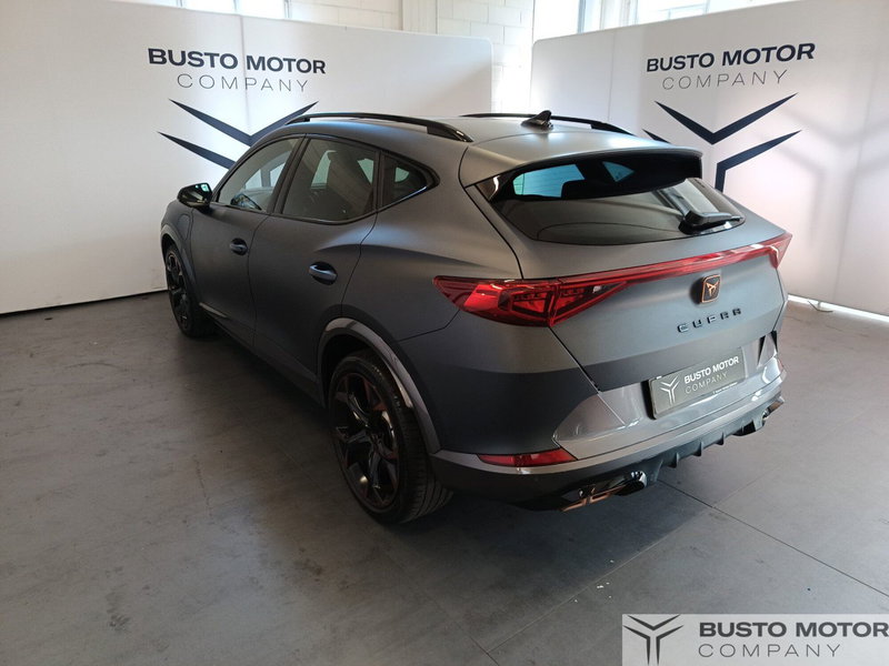 Cupra Formentor usata a Varese (6)