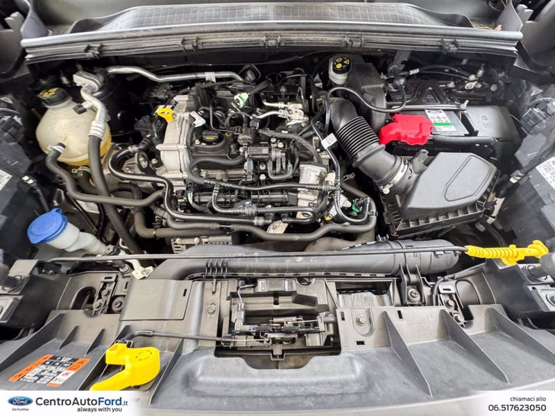 Ford Puma usata a Roma (12)