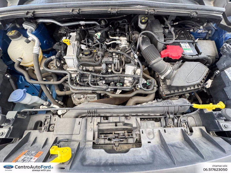 Ford Puma usata a Roma (12)